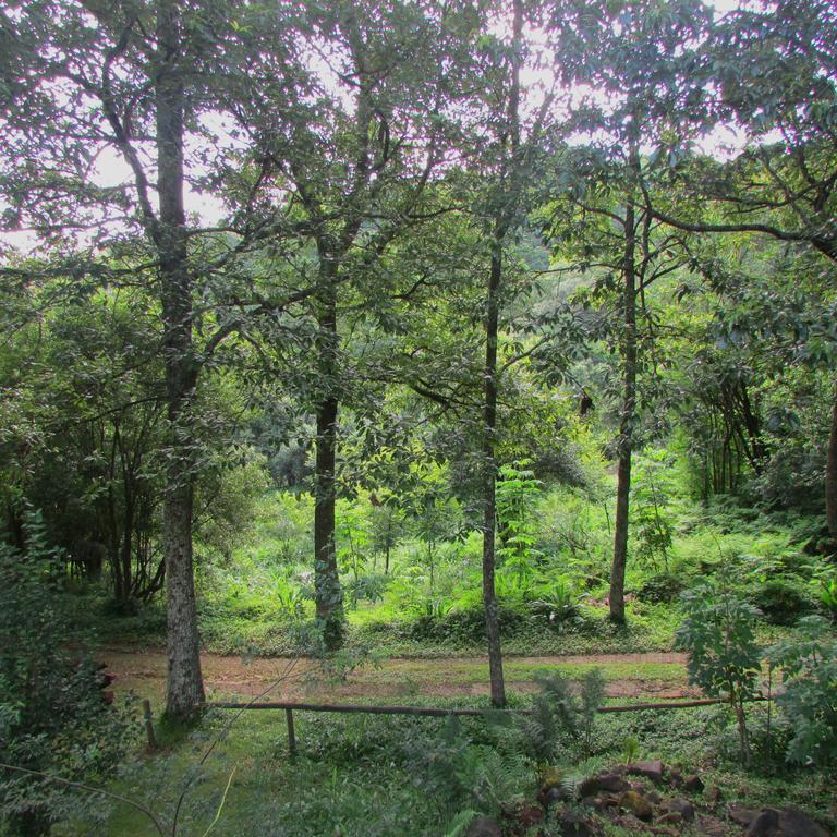 Old Pine Cabin Karkloof Karkloof Nature Reserve Exterior photo