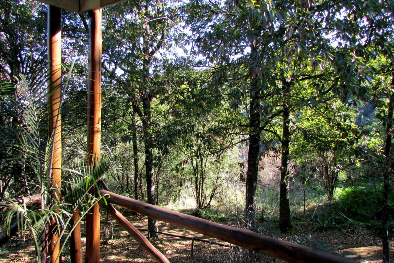 Old Pine Cabin Karkloof Karkloof Nature Reserve Exterior photo